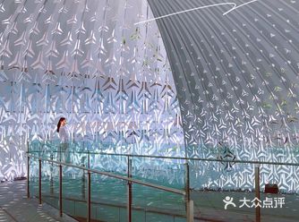 重庆小众秘摄｜0元打卡光环广场巨型钢铁鹦鹉螺