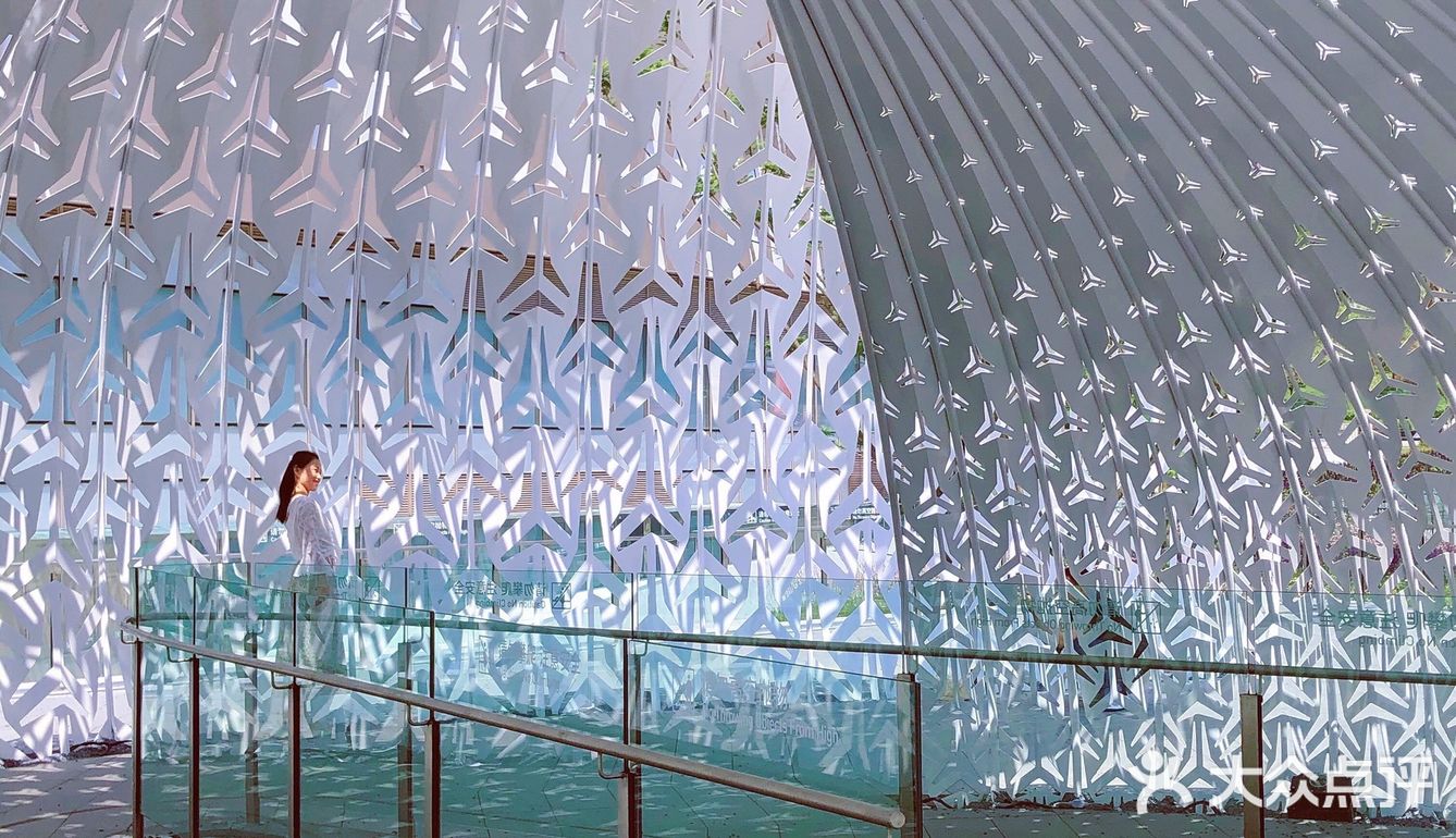 重庆小众秘摄｜0元打卡光环广场巨型钢铁鹦鹉螺