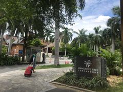 -三亚湾红树林度假世界(木棉酒店)