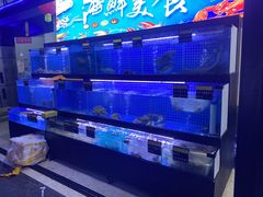 -七裕庄(凯旋南路店)