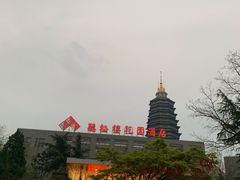 -听松楼·花园酒店·自助餐厅(红梅公园店)