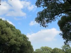 -新洲生态园