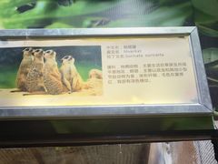 -苏州海洋馆