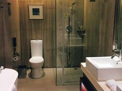 -常州环球恐龙城维景国际大酒店