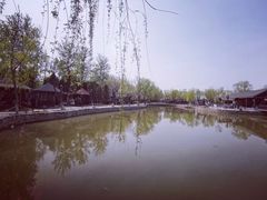 -杨柳青庄园