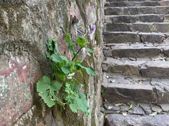-狼山风景名胜区