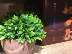 -梵猫·新养生(福州万象城店)