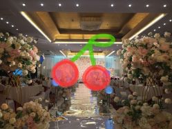 -天邑国际酒店·宴会厅