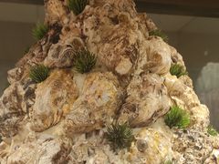 -星伦多自助料理·涮烤一体(江桥万达店)