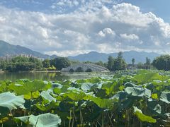 -飞来湖湿地公园