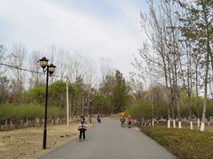 -永定河休闲森林公园