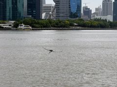 -秦皇岛路游船码头