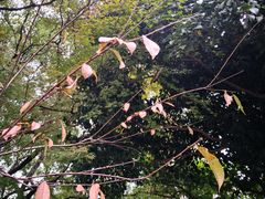 -上海市保健医疗中心(华东疗养院)
