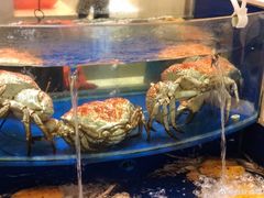 水产区-海景壹号大酒店(滨湖店)