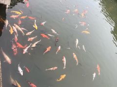 -天目湖山水园