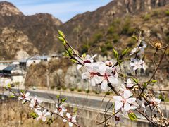 -野三坡百里峡景区