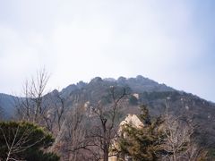 -北京鹫峰国家森林公园