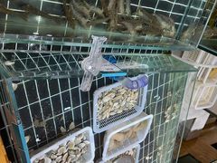 -阿毛饭店·宁波老字号(儿童公园旗舰店)