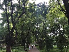 -玲珑塔公园