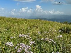 -白草畔自然风景区