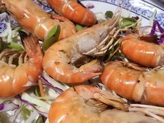 -卷心菜和避孕套餐厅(Pattaya)