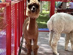 -水上乐园·欢乐世界