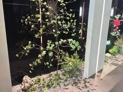 -隐溪茶馆(金虹桥店)