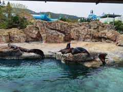-珠海长隆海洋王国