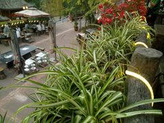 -楠柏弯休闲山庄(梨花溪店)