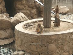 -西安秦岭野生动物园