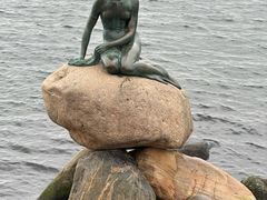-美人鱼