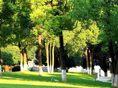 -重庆市江北嘴中央商务区中央公园