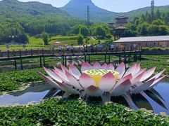 -帽儿山风景区