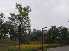 -东郊湿地公园