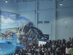 -福州罗源湾海洋世界旅游区