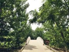 -塘沽森林公园
