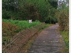 -桤木河湿地公园