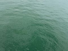 -鼓浪屿钢琴博物馆