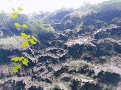 -马岭河峡谷风景区