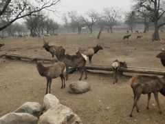 -西安秦岭野生动物园
