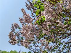 -农园餐厅(北京大学店)