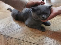 -Me Coffee下午茶艺术空间