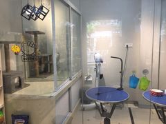 -PETKIT 小佩宠物·低压洗护·美容·寄养(安远店)