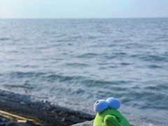 -洪泽湖古堰景区