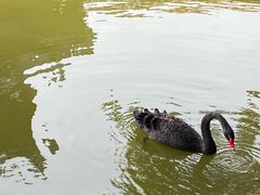 -珠海圆明新园