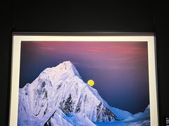 -罗红摄影艺术馆