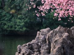 -莫愁湖公园