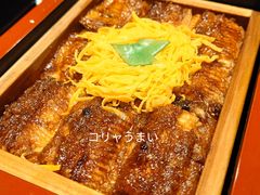 -九州酒场ひこぞう(2号店)
