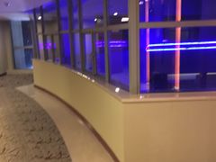 -深圳观澜格兰云天国际酒店