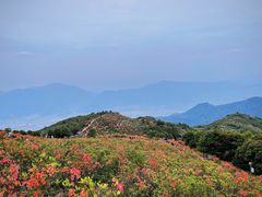-瑞安圣井山景区